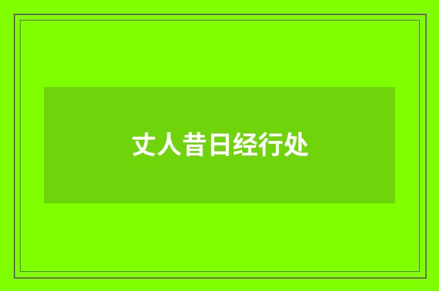 丈人昔日经行处