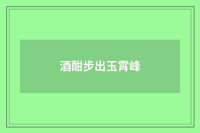 酒酣步出玉霄峰