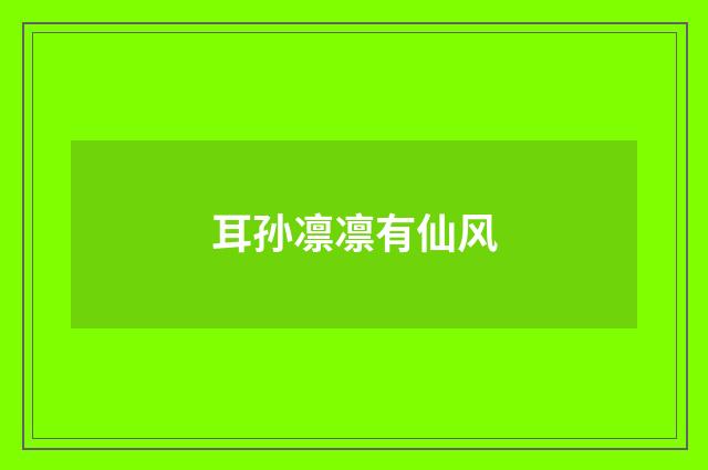 耳孙凛凛有仙风