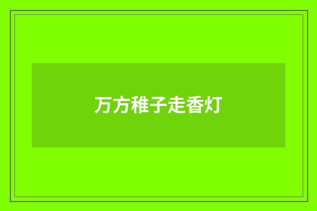 万方稚子走香灯