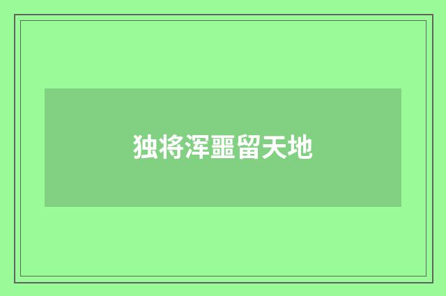 独将浑噩留天地