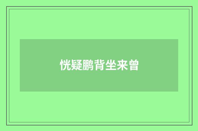 恍疑鹏背坐来曾