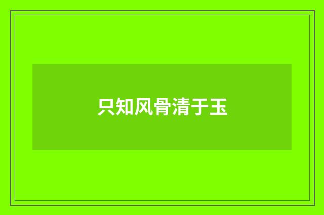 只知风骨清于玉