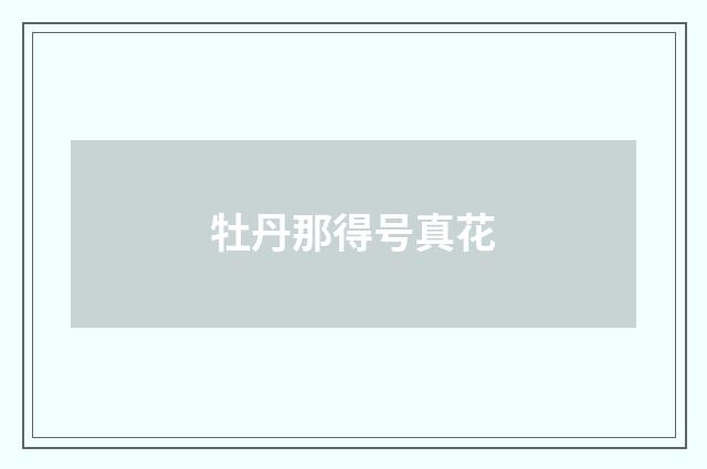 牡丹那得号真花