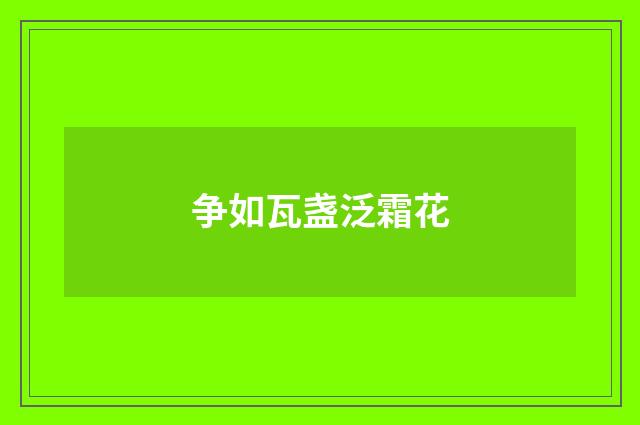 争如瓦盏泛霜花