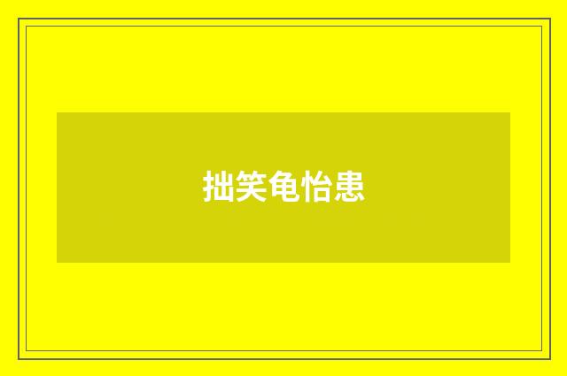 拙笑龟怡患