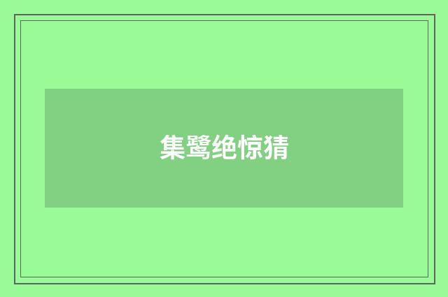 集鹭绝惊猜