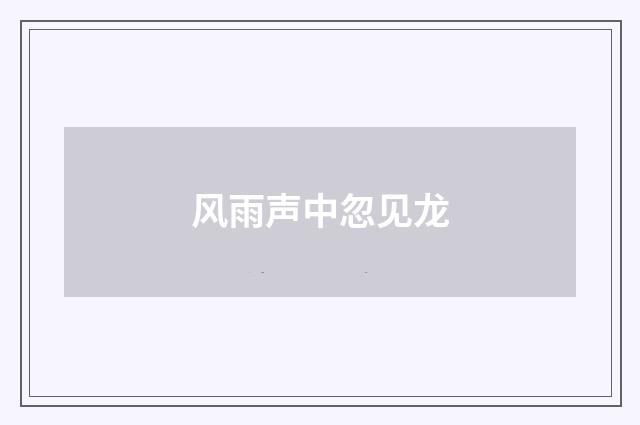 风雨声中忽见龙