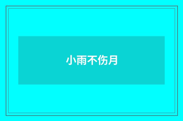 小雨不伤月