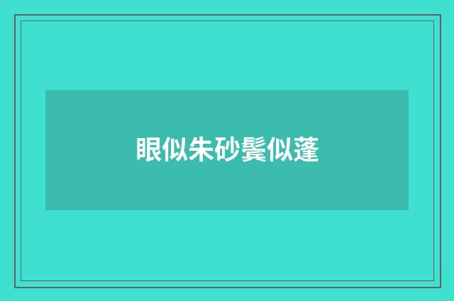 眼似朱砂鬓似蓬