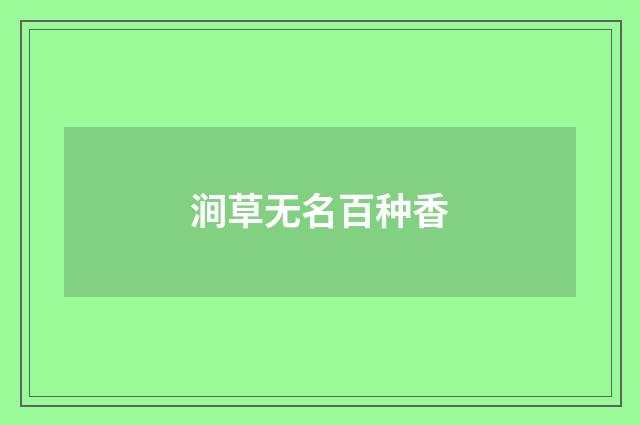 涧草无名百种香