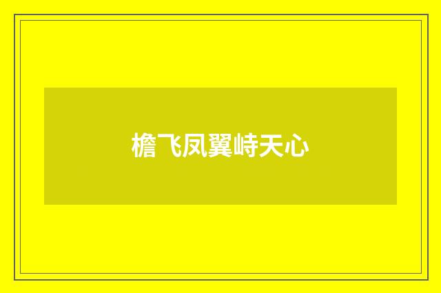檐飞凤翼峙天心
