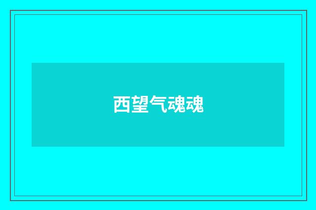西望气魂魂