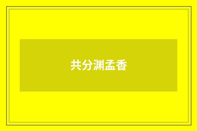 共分渊孟香