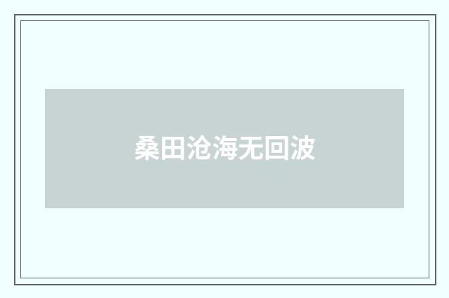 桑田沧海无回波