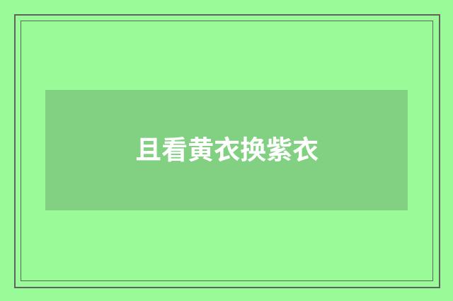 且看黄衣换紫衣