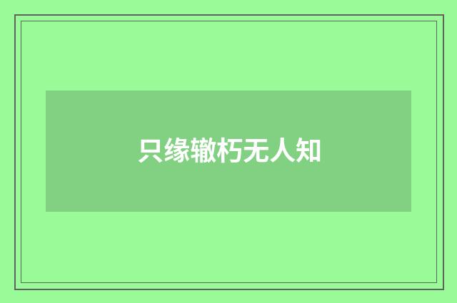 只缘辙朽无人知