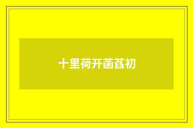 十里荷开菡萏初