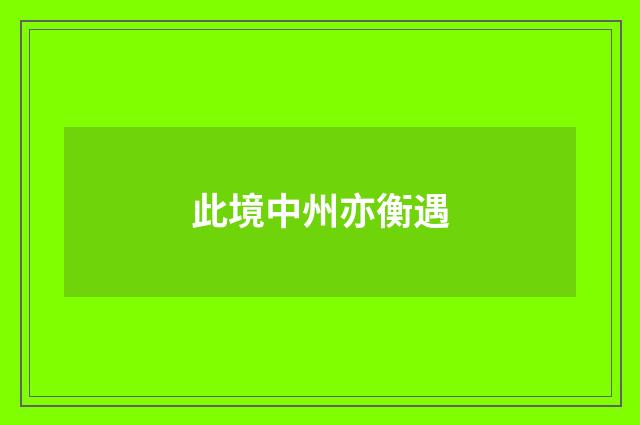 此境中州亦衡遇