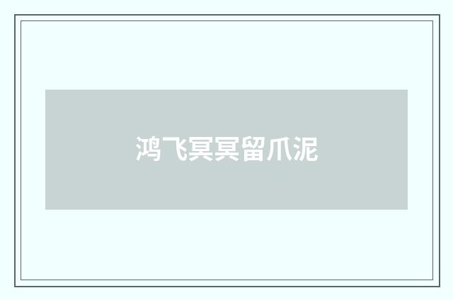 鸿飞冥冥留爪泥