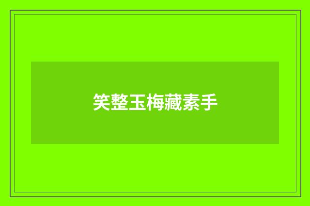 笑整玉梅藏素手