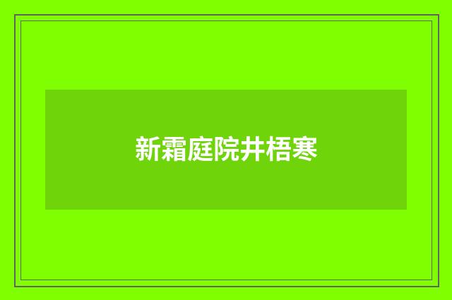新霜庭院井梧寒