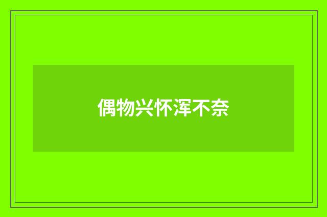 偶物兴怀浑不奈