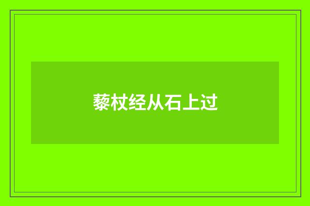 藜杖经从石上过