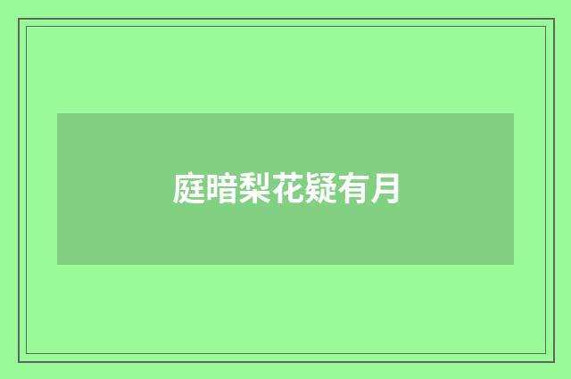 庭暗梨花疑有月