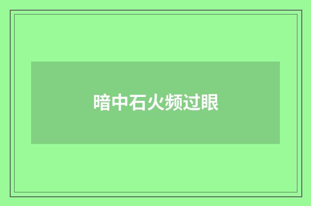 暗中石火频过眼