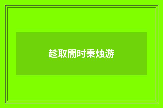 趁取閒时秉烛游