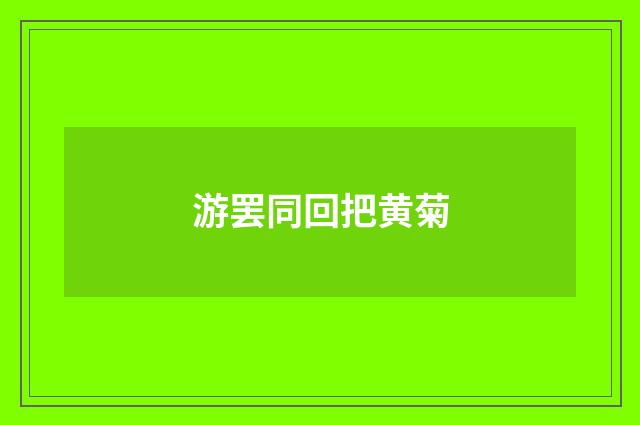 游罢同回把黄菊