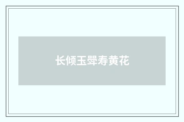 长倾玉斝寿黄花