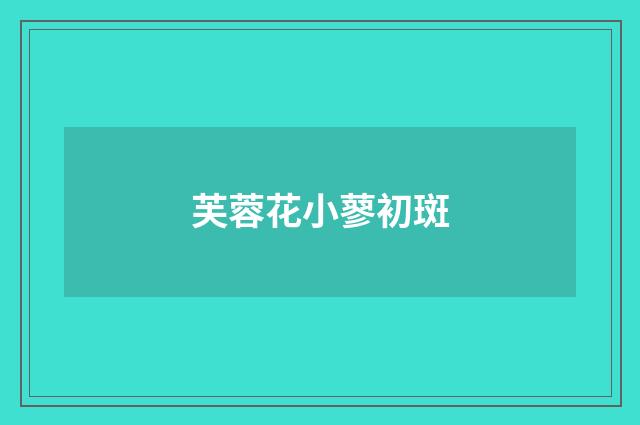 芙蓉花小蓼初斑