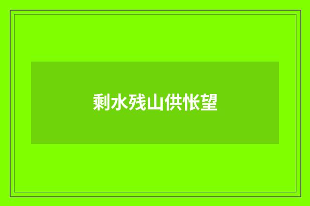 剩水残山供怅望