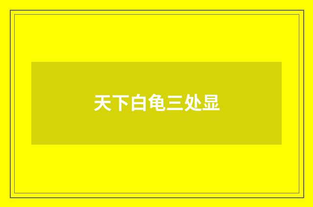 天下白龟三处显