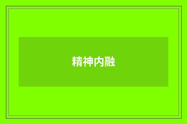 精神内融