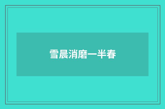 雪晨消磨一半春