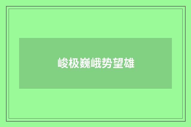 峻极巍峨势望雄