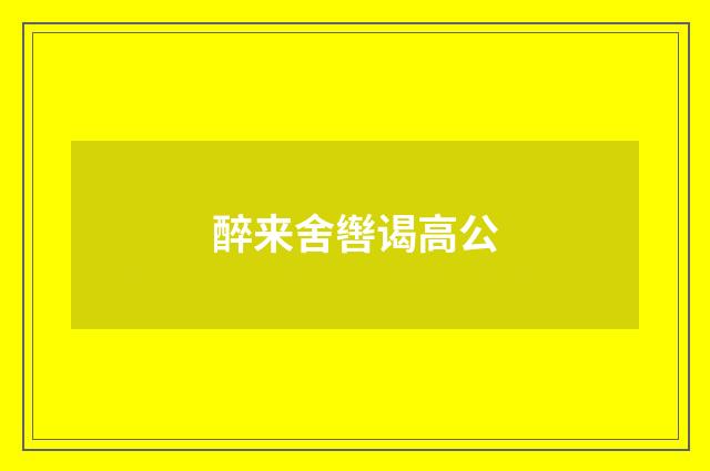 醉来舍辔谒高公