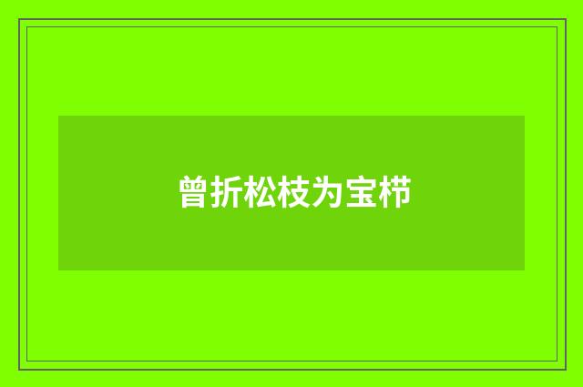 曾折松枝为宝栉