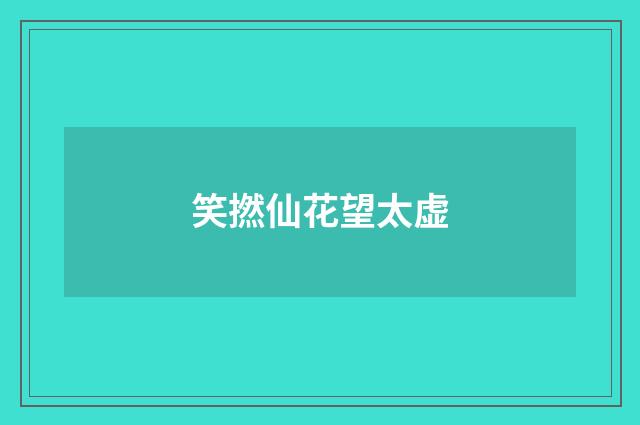 笑撚仙花望太虚