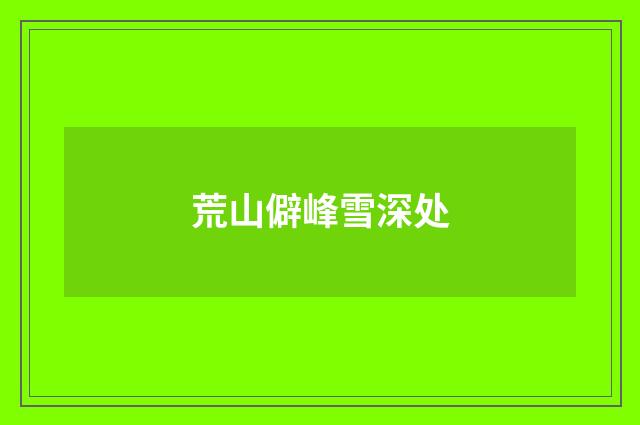 荒山僻峰雪深处