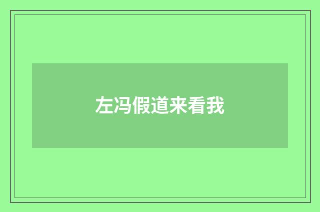 左冯假道来看我