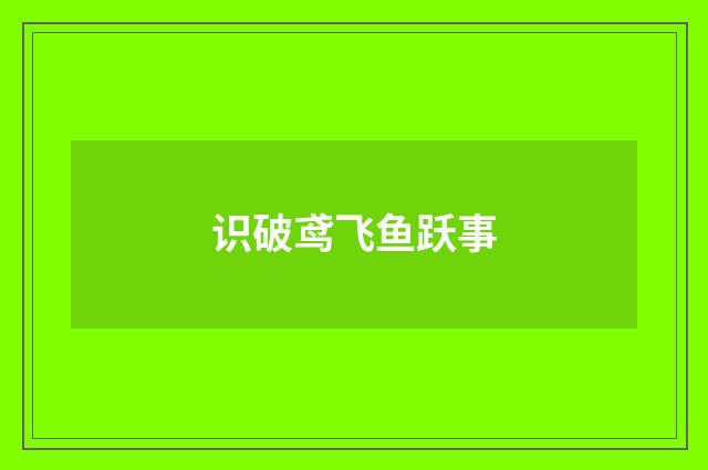 识破鸢飞鱼跃事