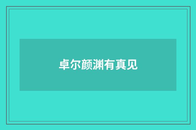 卓尔颜渊有真见