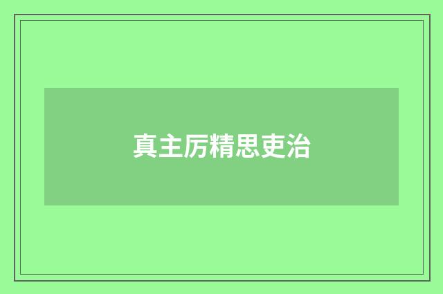 真主厉精思吏治
