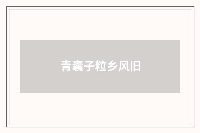 青囊子粒乡风旧