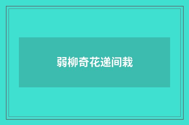 弱柳奇花递间栽