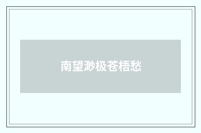 南望渺极苍梧愁